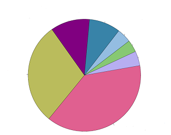 HR/CSC Genital Diagnosis Pie Chart